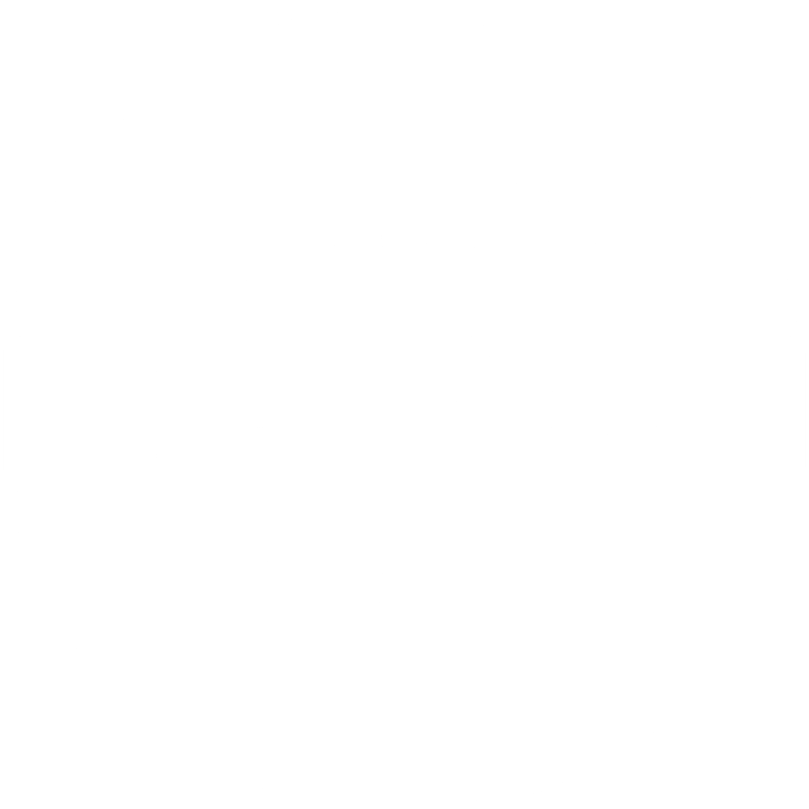 Auto Reapir